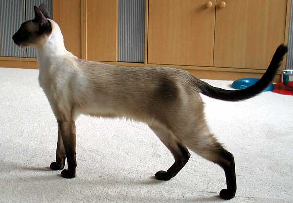 Da-You am 28/06/2004   Photo: Carolin Skirl