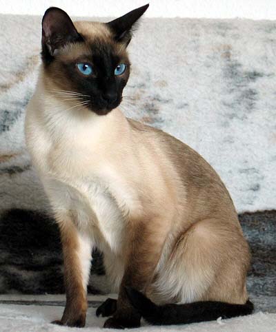 Da-You am 23/01/2005   Photo: Carolin Skirl