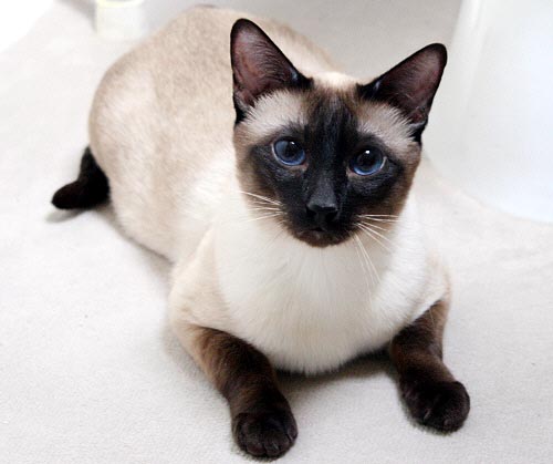 Bobby am 25/04/2005   Photo: Carolin Skirl