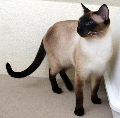 Bobby am 25/04/2005   Photo: Carolin Skirl