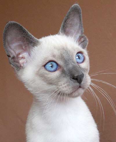 Daiji 25/06/2005   Photo: Carolin Skirl