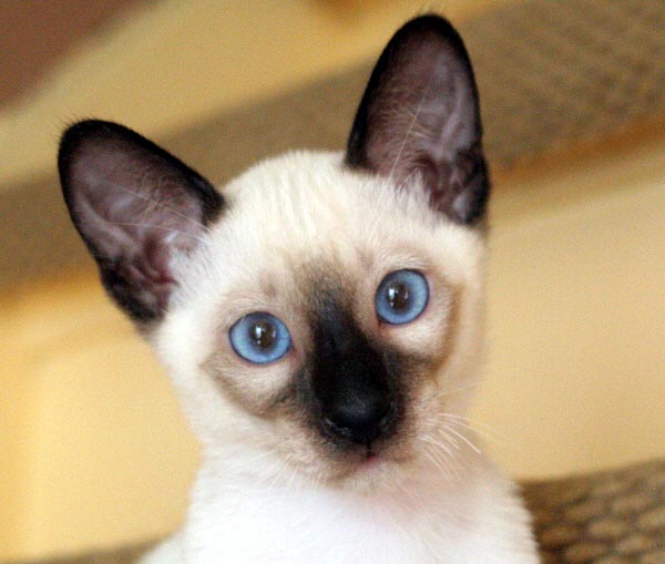 Acaia 25/06/2005   Photo: Carolin Skirl