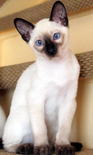 Acaia 25/06/2005   Photo: Carolin Skirl