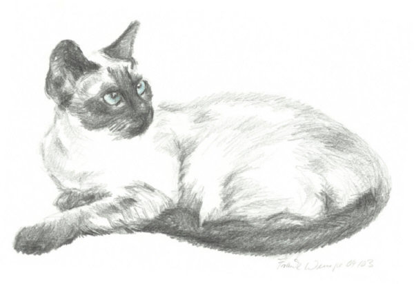 Angel   Zeichnung: Frank Wempe