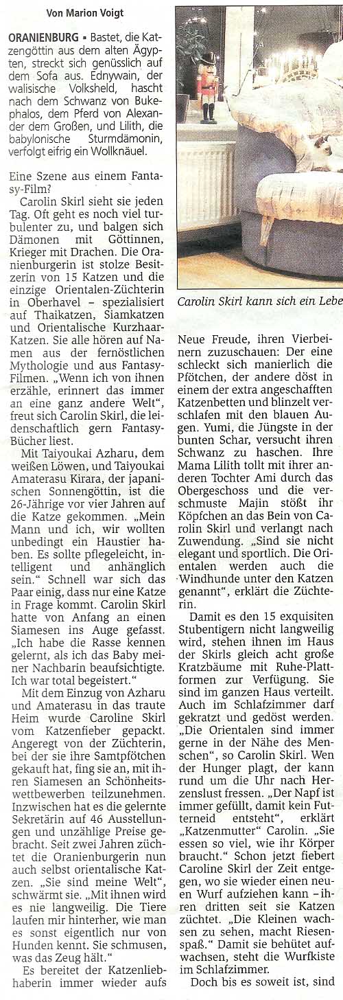 Artikel 03/12/2005