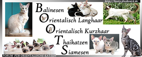 BOOTS Foren-Banner