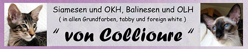 von Collioure Cattery