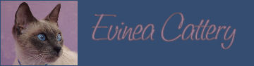 Homepage Cattery Evinea
