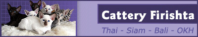 Homepage der Cattery Firishtas