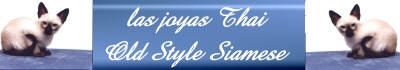 Homepage Cattery las joyas Thai
