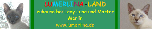 Homepage von Luna und Merlin
