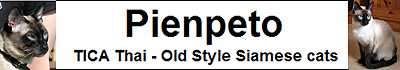 Homepage Pienpeto Cattery