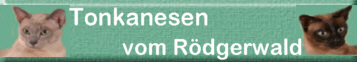 Homepage Cattery vom Rdgerwald
