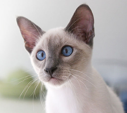 13/01/2008   Foto: Carolin Skirl