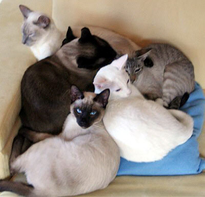 Photo: Claudia Szalay