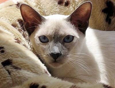 Photo: Sabine Uschmann Maurer