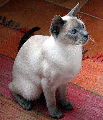 Photo: Sabine Uschmann Maurer