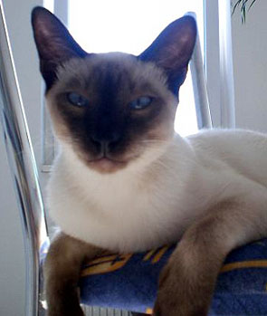 Foto: Sascha - Jabal