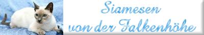 Homepage Cattery von der Falkenhoehe