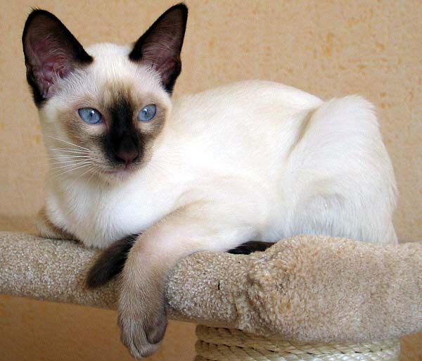 Foto: Carolin Skirl