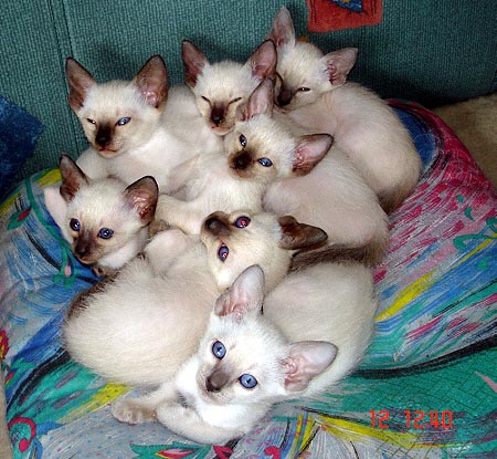 Foto: Ulrike Englisch