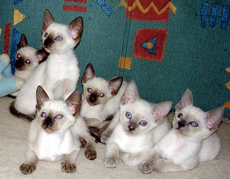 Foto: Ulrike Englisch