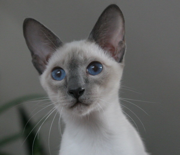 Photo: Carolin Skirl