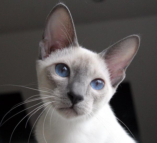 Photo: Carolin Skirl