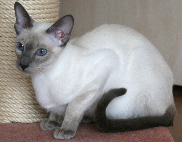 Photo: Carolin Skirl