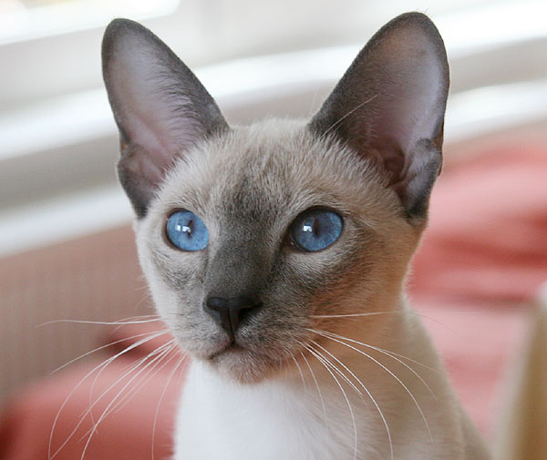 Photo: Carolin Skirl