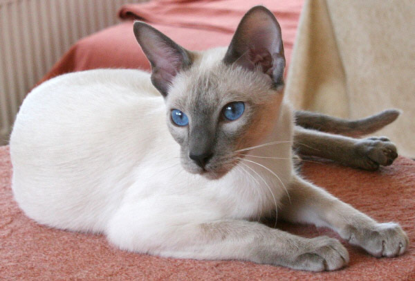 Photo: Carolin Skirl