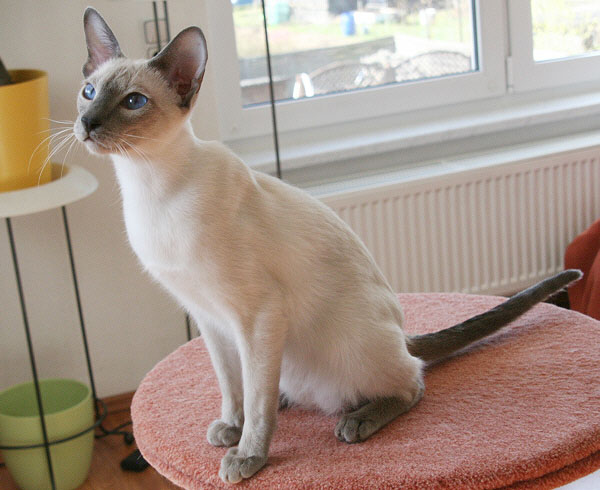 Photo: Carolin Skirl