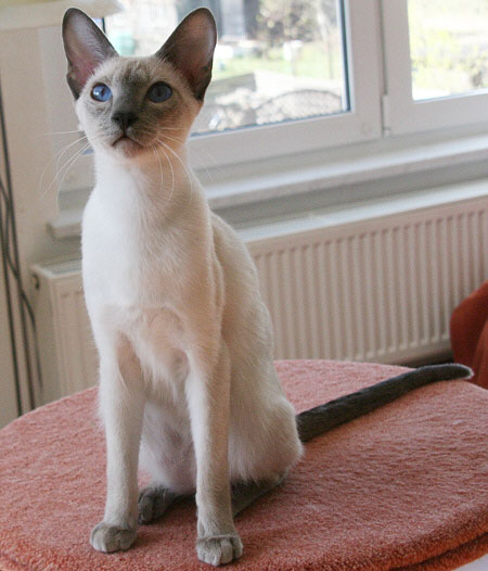 Photo: Carolin Skirl