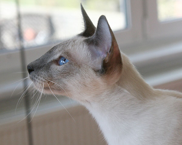 Photo: Carolin Skirl