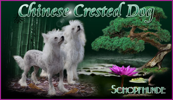 Homepage Fam. Schmidt