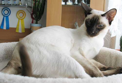 Galiah am 24/02/2005