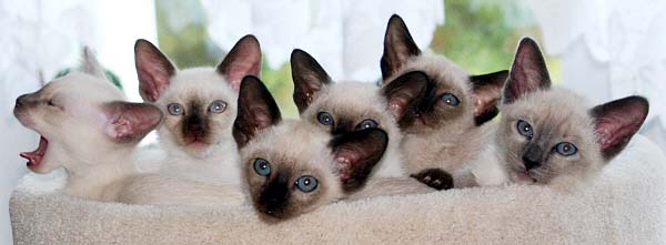 B-Wurf am 19/05/2005