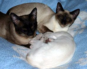 Schläfchen mit Nicky und Jenny