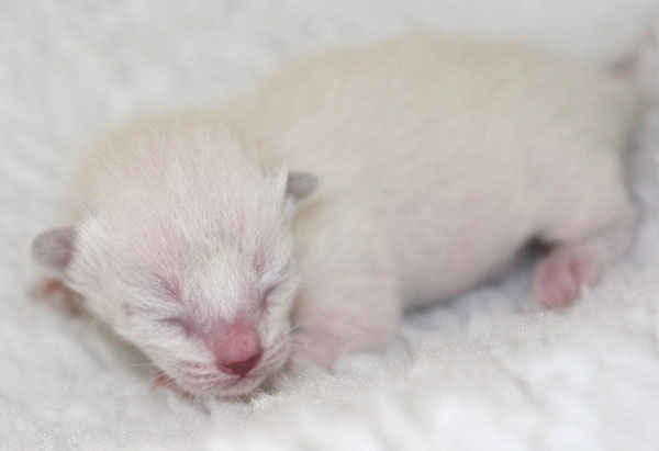 Photo: Carolin Skirl