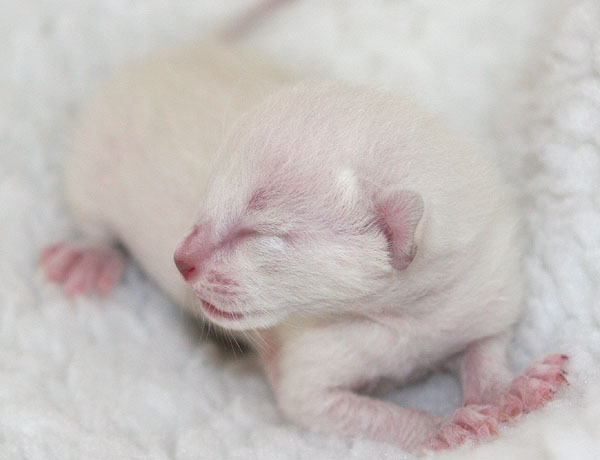 Photo: Carolin Skirl