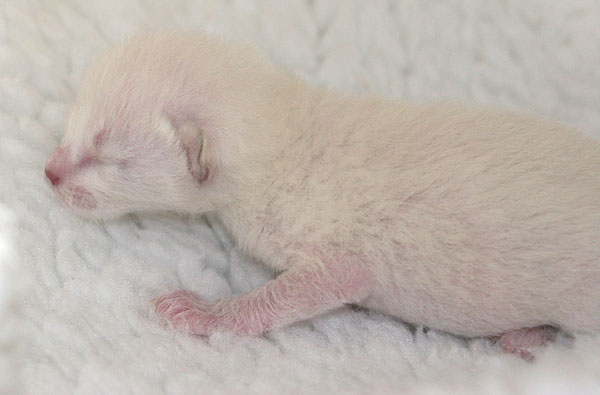 Photo: Carolin Skirl