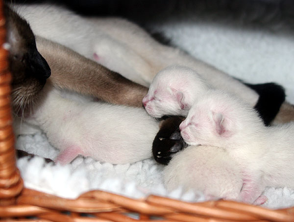 Photo: Carolin Skirl