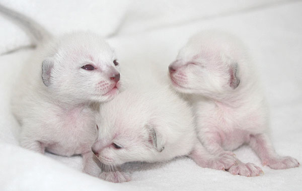 Photo: Carolin Skirl