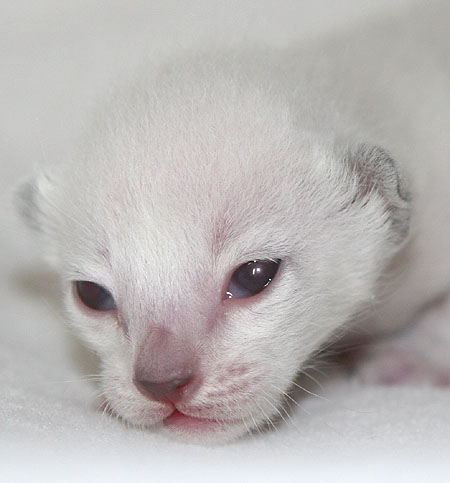 Photo: Carolin Skirl