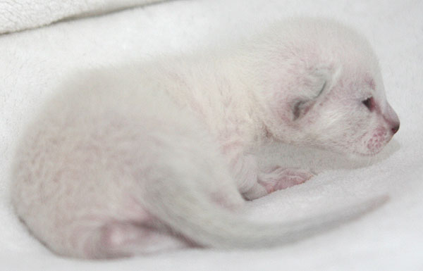 Photo: Carolin Skirl