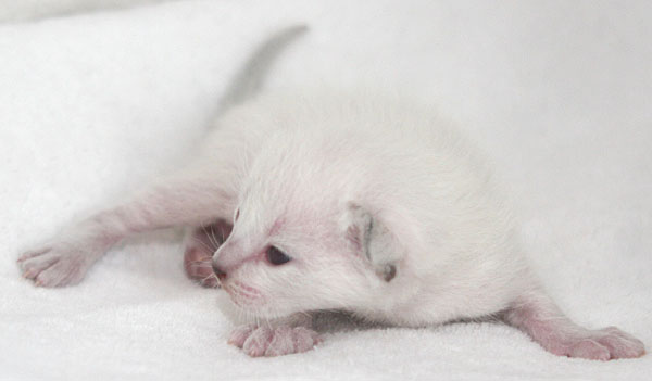 Photo: Carolin Skirl