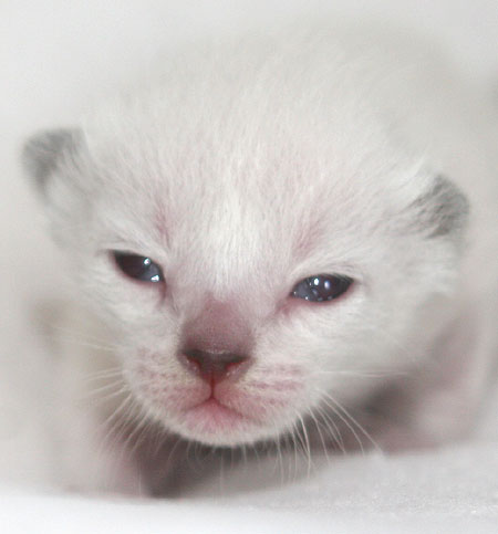 Photo: Carolin Skirl