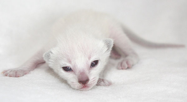 Photo: Carolin Skirl