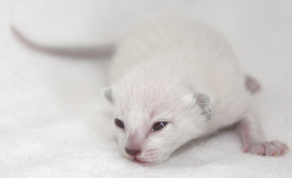 Photo: Carolin Skirl