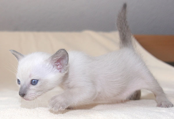 Photo: Carolin Skirl